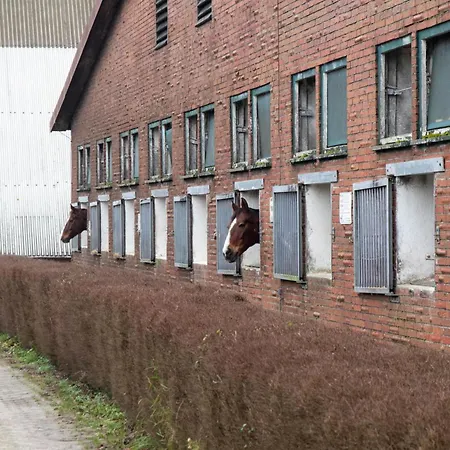 Huus Gerda Hébergement de vacances