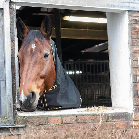 Huus Gerda Hébergement de vacances Krummhörn