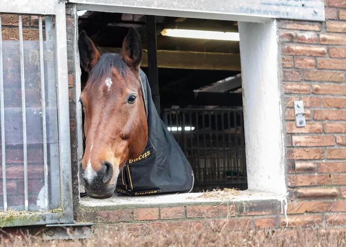 Huus Gerda Prázdninový dům Krummhörn