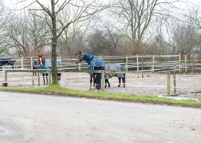 Prázdninový dům Huus Gerda Krummhörn
